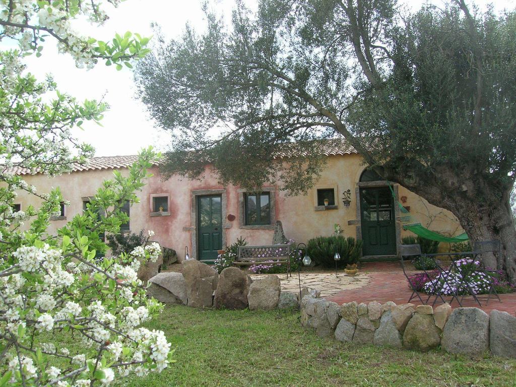 La Mesenda Rooms & Apartments Arzachena Dış mekan fotoğraf